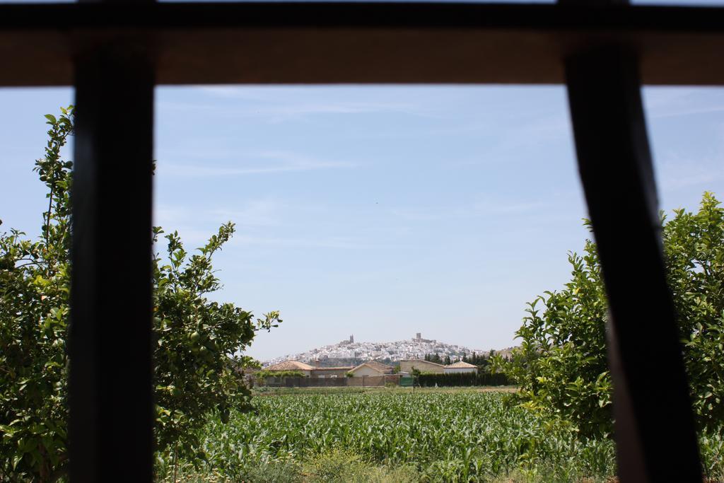 Hostal Rural La Plata Parking Incluido Arcos de la Frontera Εξωτερικό φωτογραφία