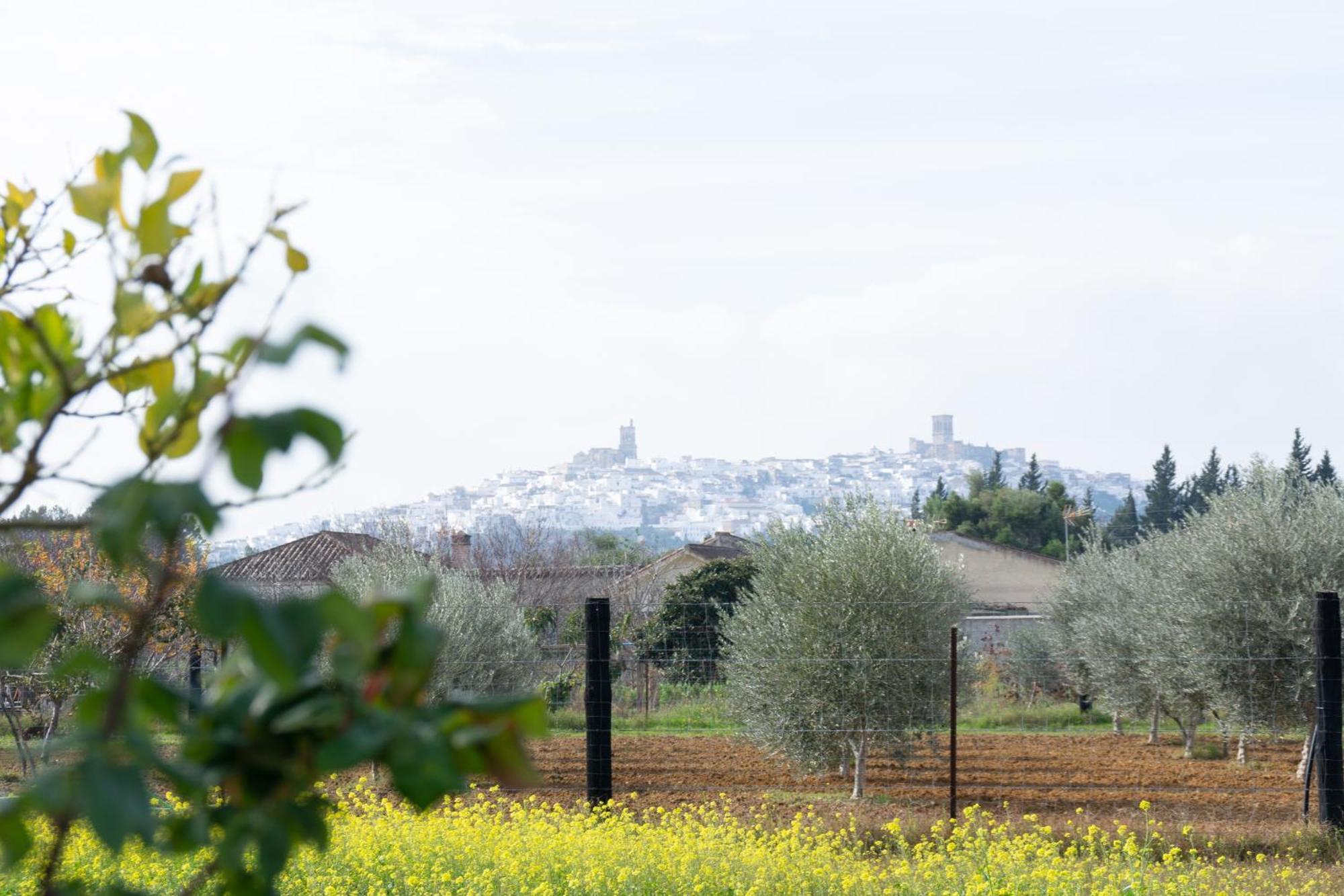 Hostal Rural La Plata Parking Incluido Arcos de la Frontera Εξωτερικό φωτογραφία