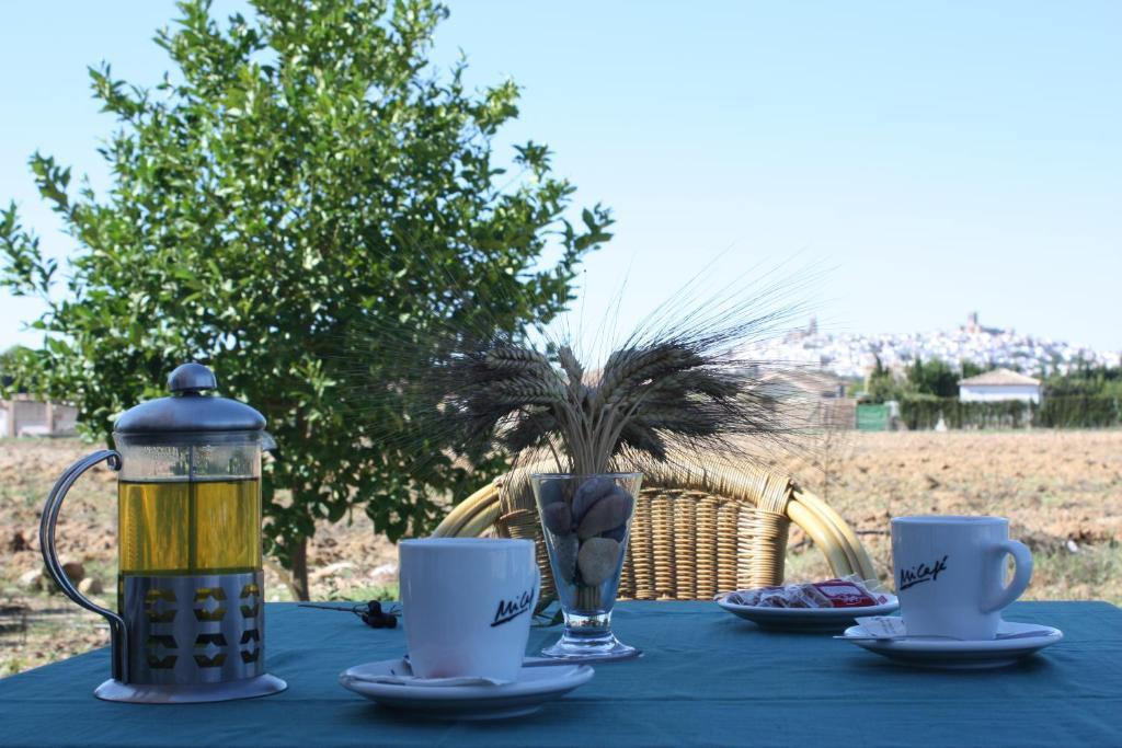 Hostal Rural La Plata Parking Incluido Arcos de la Frontera Εξωτερικό φωτογραφία